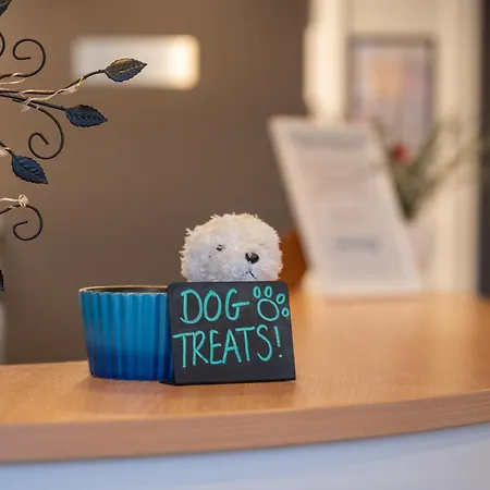 Stableside At Racecourse 3*