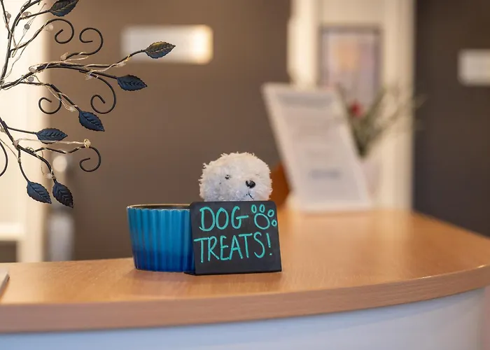 Stableside At Racecourse 3*