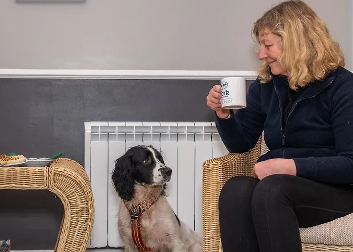 Stableside At Racecourse